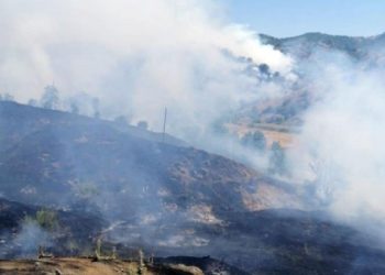“Bingöl’de yanacak bir şey kalmadı”