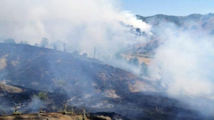 “Bingöl’de yanacak bir şey kalmadı”