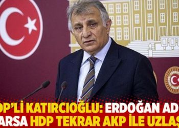 HDP’li Katırcıoğlu: Erdoğan adım atarsa HDP tekrar AKP ile uzlaşır