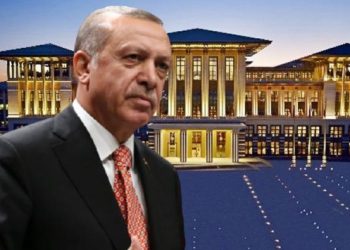 Erdoğan, tasarruftan kendini ‘hariç’ tuttu
