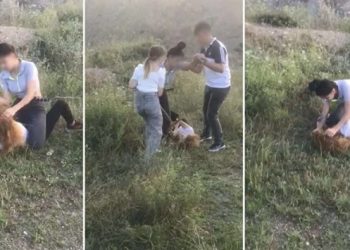 Elif Çakal’ın ölümüne ilişkin bir kişi tutuklandı, iki kişi aranıyor