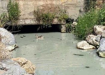 Marmara Denizi’ne Kadıköy’den ‘beyaz su’ karıştı