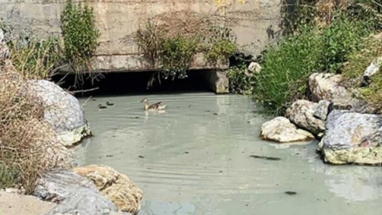 Marmara Denizi’ne Kadıköy’den ‘beyaz su’ karıştı