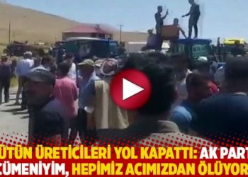 Tütün üreticileri yol kapattı: AK Parti encümeniyim, hepimiz acımızdan ölüyoruz!