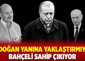 Erdoğan yanına yaklaştırmıyor Bahçeli sahip çıkıyor