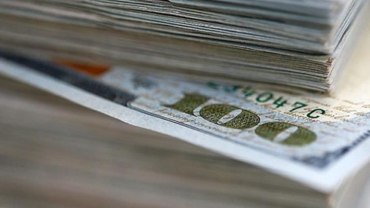 Döviz rezervleri 269 milyon dolar daha eridi
