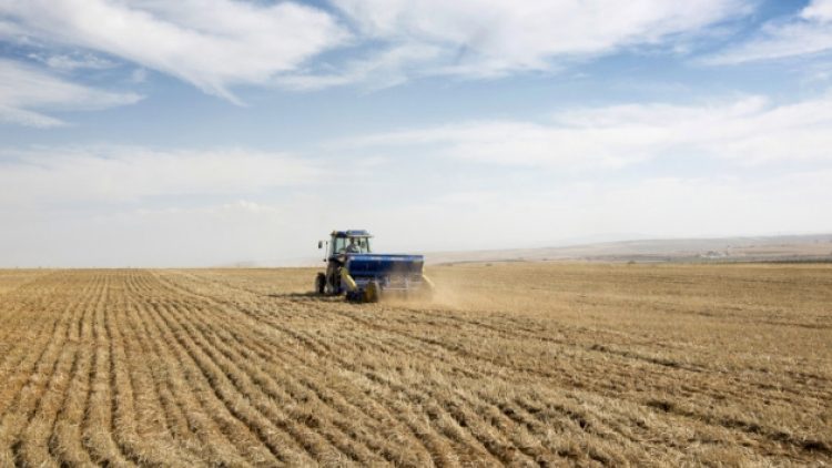 CHP’li Şevkin: Son bir yılda 46 bin 923 çiftçi tarımı bıraktı