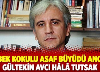 Bebek kokulu Asaf büyüdü ancak Gültekin Avcı hâlâ tutsak