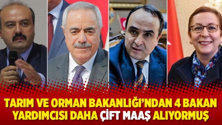 Tarım ve Orman Bakanlığı’ndan 4 bakan yardımcısı daha çift maaş alıyormuş
