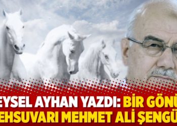 Veysel Ayhan yazdı: Bir gönül şehsuvarı Mehmet Ali Şengül