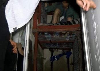 Şirinler çetesinin kafese kapattığı iki kişi: Kendi isteğimizle girdik