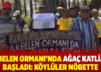 Akbelen Ormanı’nda ağaç katliamı başladı: Köylüler nöbette
