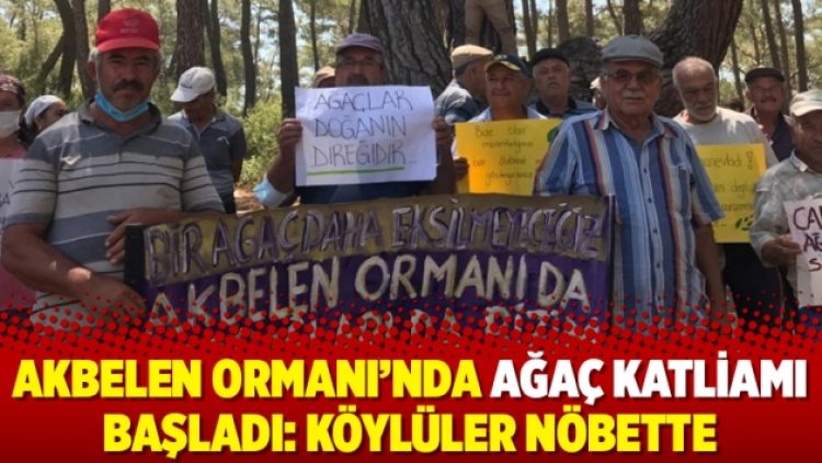 Akbelen Ormanı’nda ağaç katliamı başladı: Köylüler nöbette