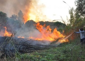 Mersin’deki orman yangını 3 gündür söndürülemedi