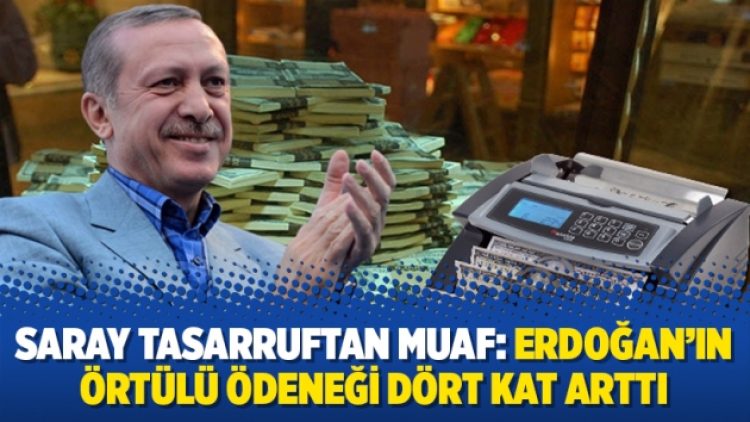 Saray tasarruftan muaf: Erdoğan’ın örtülü ödeneği dört kat arttı
