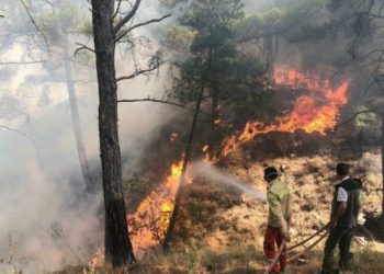 650 hektarlık alan zarar gördü: Aydıncık yangını, 50 saat sonra kontrol altına alındı