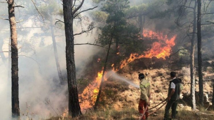 650 hektarlık alan zarar gördü: Aydıncık yangını, 50 saat sonra kontrol altına alındı