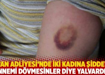 Van Adliyesi’nde iki kadına şiddet: Annemi dövmesinler diye yalvardım