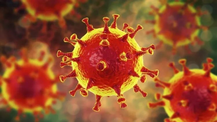 Delta’nın neden hızlı yayıldığı belli oldu