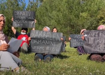 İkizköylüler: Ağaçlarla birlikte bizi de bitirecekler, yaşayamayız
