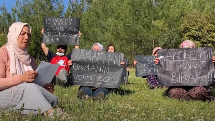 İkizköylüler: Ağaçlarla birlikte bizi de bitirecekler, yaşayamayız