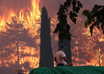 Manavgat’taki yangınlara soruşturma