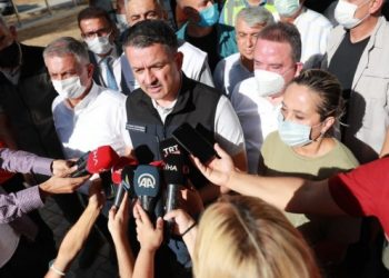 Pakdemirli: Antalya’da orman yangınında bir kişi öldü, 10 kişi mahsur kaldı