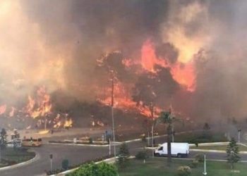 Manavgat’ta yangından iki gün önce ihale
