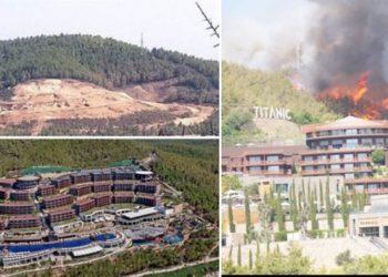 13 yıl önce çıkan yangında yanan ağaçların yerine dikilen otel bugün tahliye edildi!