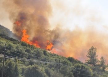 İzmir ve Balıkesir’de ormanlık alanlara giriş çıkışlar yasaklandı