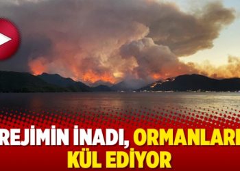 Rejimin inadı, ormanları kül ediyor