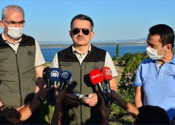 Bakan Pakdemirli: Turizm tesisi yapılacaksa şartları bellidir, ormanların yakılmasına ihtiyaç yoktur
