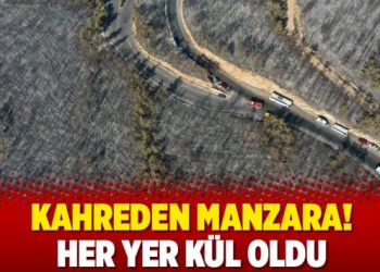 Kahreden manzara! Her yer kül oldu