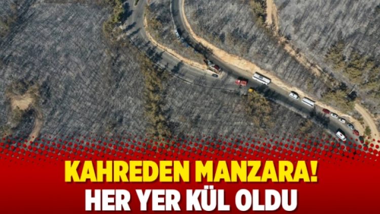 Kahreden manzara! Her yer kül oldu