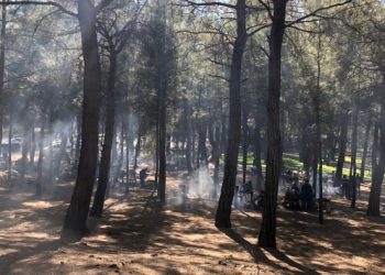 İstanbul dahil bazı illerde ormanlara giriş yasaklandı
