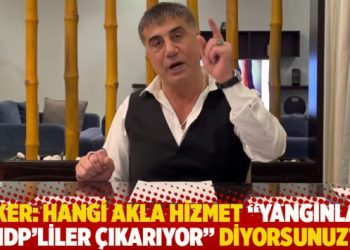 Peker: Hangi akla hizmet “bu yangınları HDP’liler çıkarıyor” diyorsunuz?