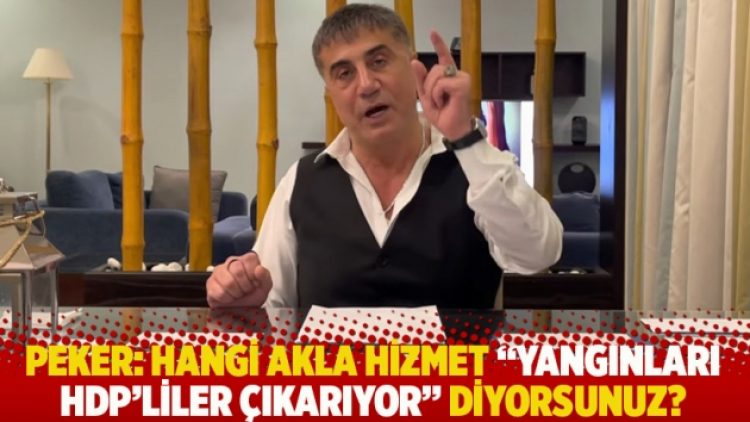 Peker: Hangi akla hizmet “bu yangınları HDP’liler çıkarıyor” diyorsunuz?
