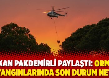 Bakan Pakdemirli paylaştı: Orman yangınlarında son durum ne?