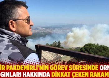 Bekir Pakdemirli’nin görev süresinde orman yangınları hakkında dikkat çeken rakamlar