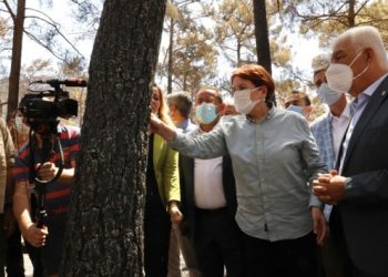 Akşener: Yanan alanlara dikilecek bütün betonları yıkacağız