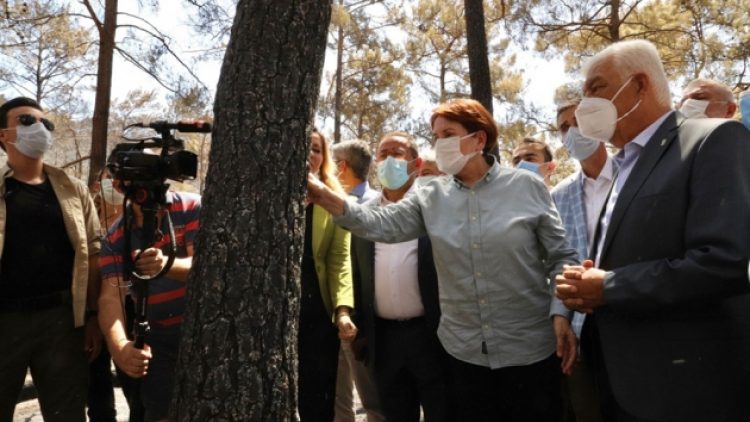Akşener: Yanan alanlara dikilecek bütün betonları yıkacağız