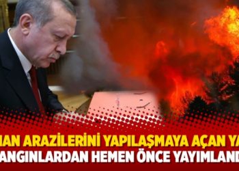 Orman arazilerini yapılaşmaya açan yasa, yangınlardan hemen önce yayımlandı