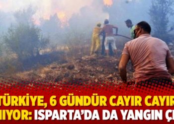Türkiye, 6 gündür cayır cayır yanıyor: Isparta’da da yangın çıktı