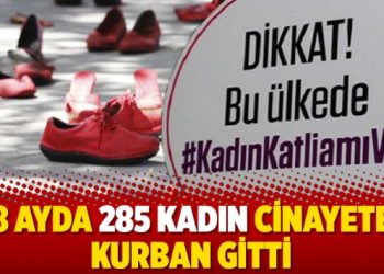 8 ayda 285 kadın cinayete kurban gitti