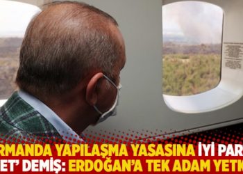 Ormanda yapılaşma yasasına İYİ Parti ‘evet’ demiş: Erdoğan’a tek adam yetkisi