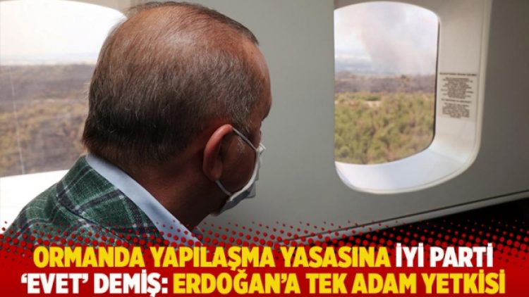 Ormanda yapılaşma yasasına İYİ Parti ‘evet’ demiş: Erdoğan’a tek adam yetkisi