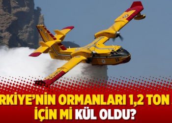 Türkiye’nin ormanları 1,2 ton su için mi kül oldu?