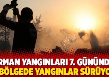 Orman yangınları 7. gününde: 9 bölgede yangınlar sürüyor