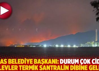 Milas Belediye Başkanı Tokat: Durum çok ciddi, alevler termik santralin dibine geldi