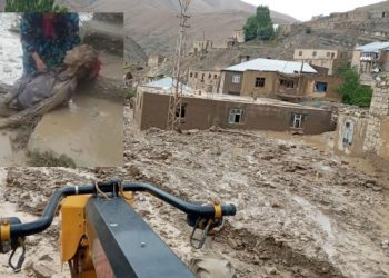 Van’dan çağrı: Sel nedeniyle afet bölgesi ilan edilsin, acil eylem planı şart